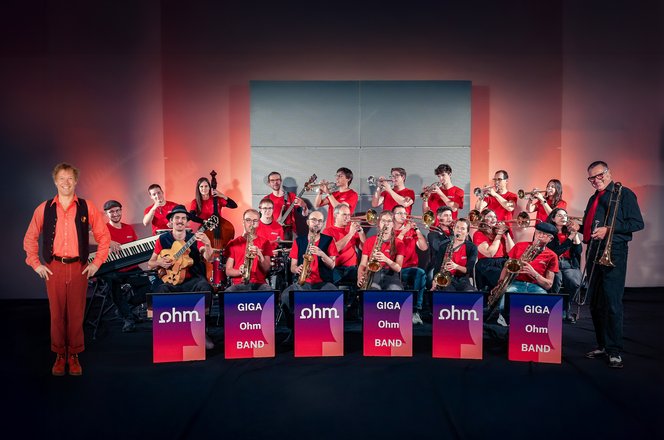 Bandpic: Geraldino und die Giga Ohm Band